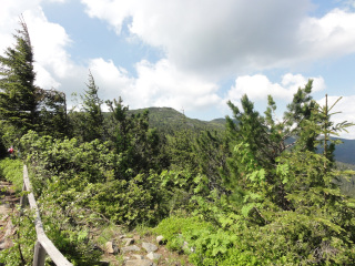 dsc04235